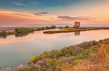 Comacchio e le sue Valli - Navigazione